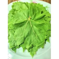 Sarma Yaprağı Kuru basım